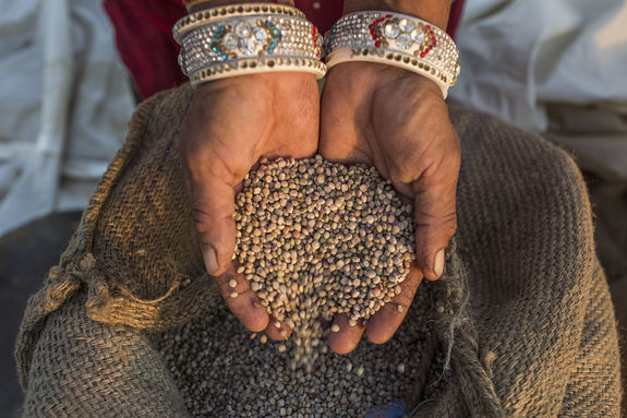 Guar derivatives for personal care Guar derivatives for personal care